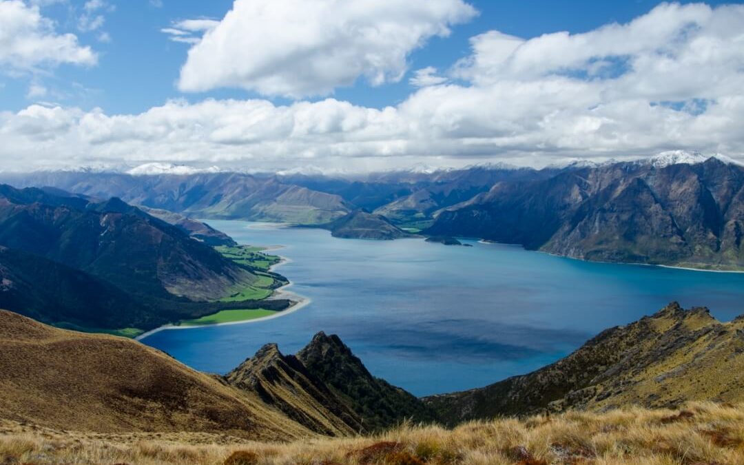 Case Study AFM® : Kaipara New Zealand [PDF]
