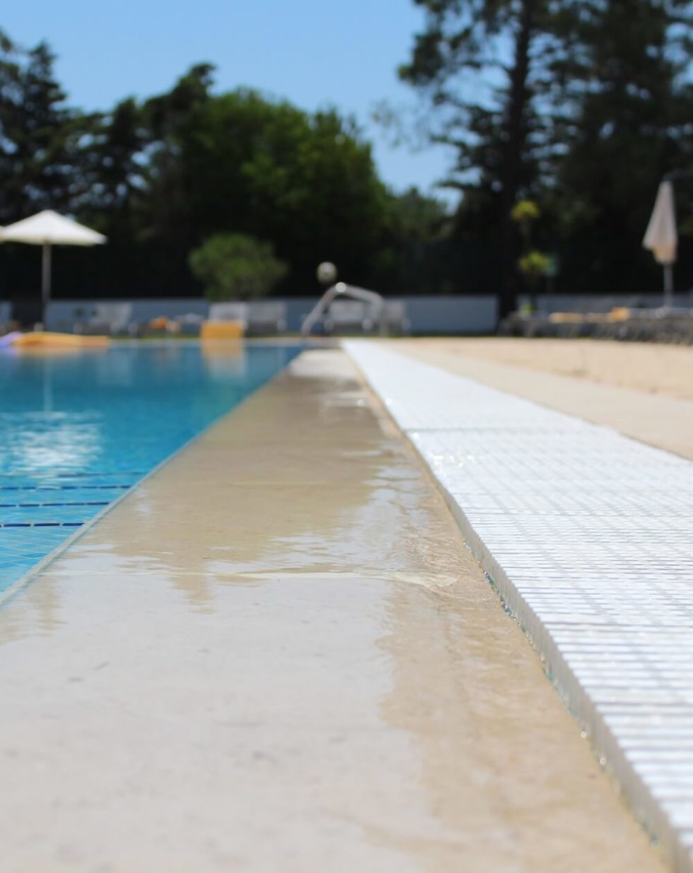 If you want a swimming pool, which one should you choose