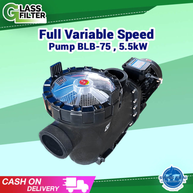 Full Variable Speed Pump BLB-75 , 5.5kW